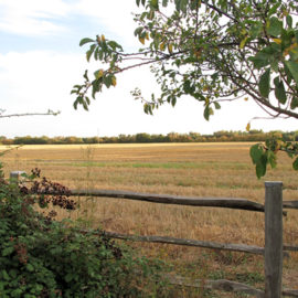 Prioritise brownfield development in law to protect our green belt and farmland